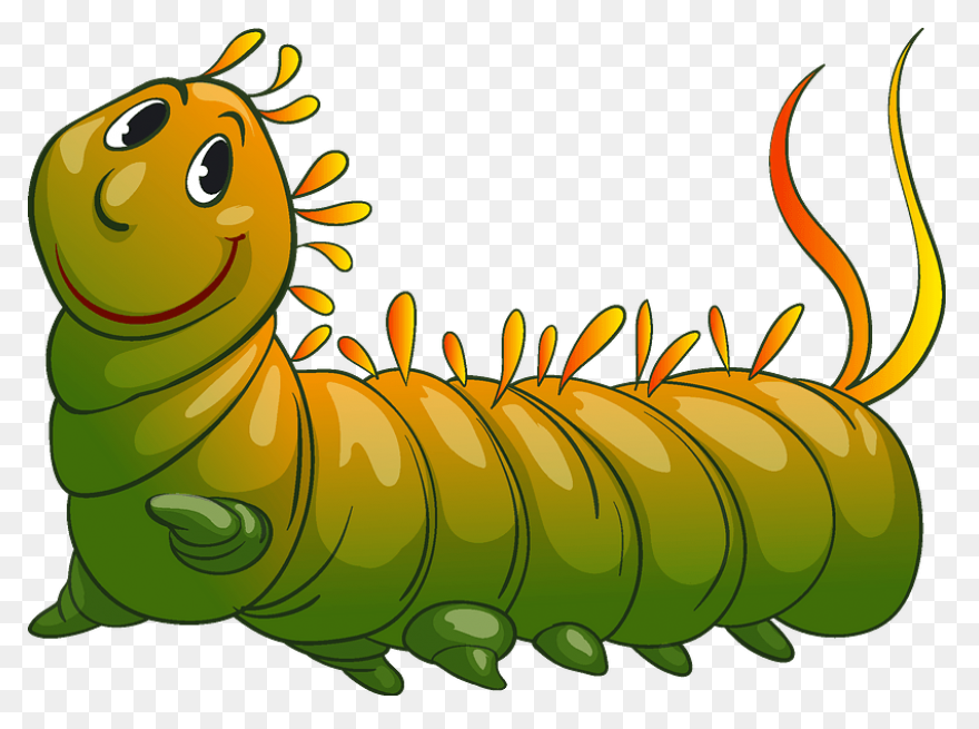Caterpillar Monarch Butterfly - Fre