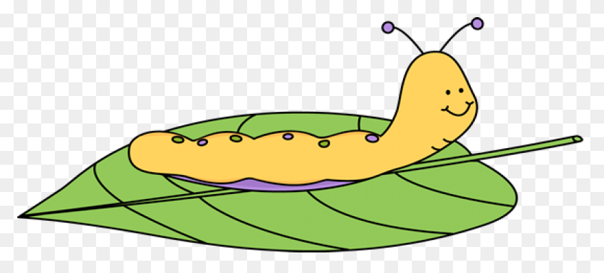 Caterpillar Monarch Butterfly - Fre