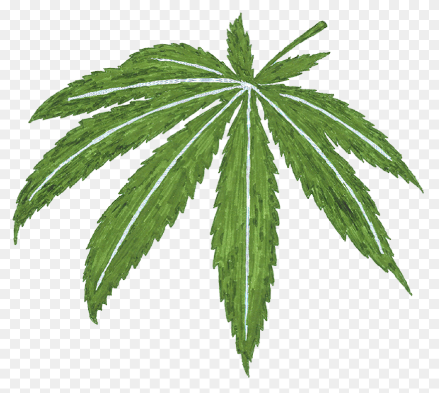 600  Free Cannabis & Marijuana 