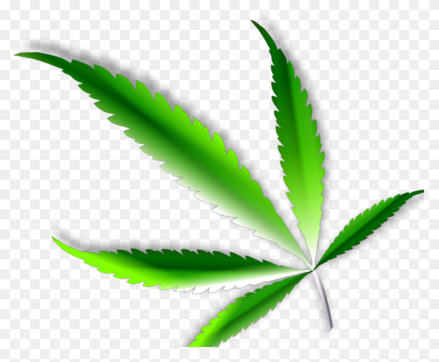 Cannabis Clipart Svg Illustration Png - Cannabis