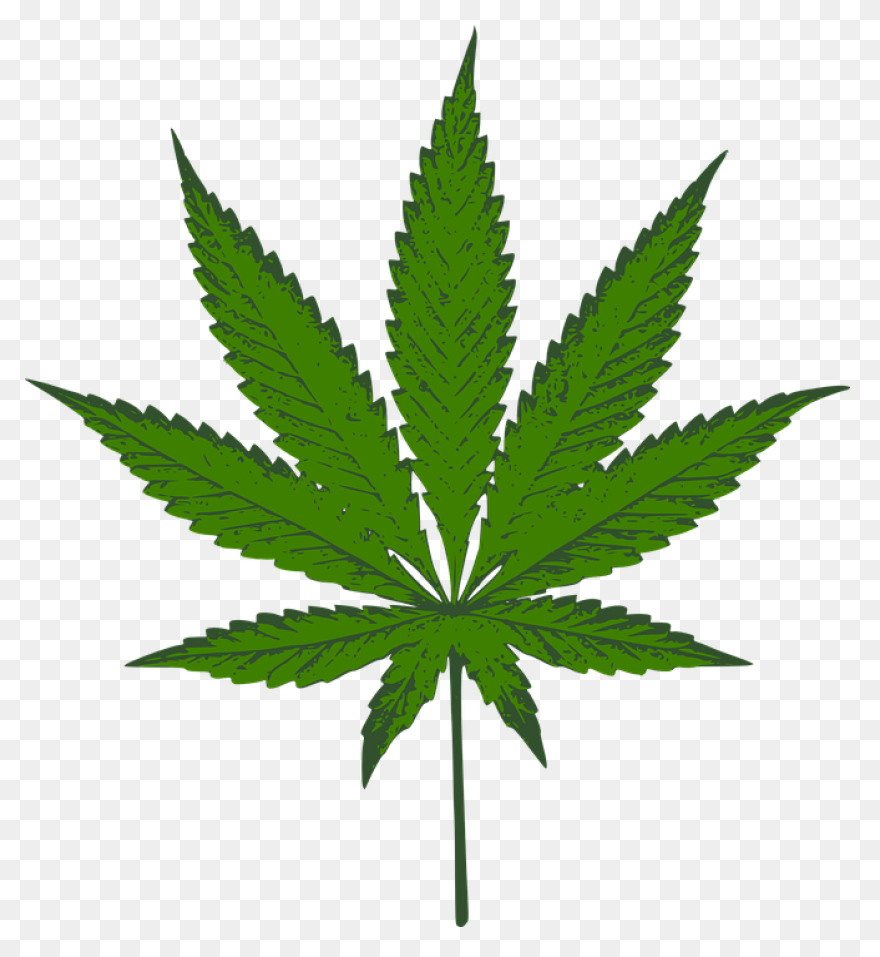 600  Free Cannabis & Marijuana 