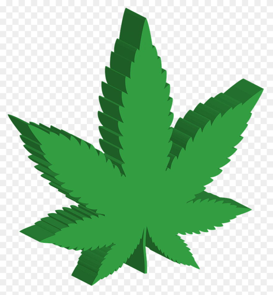 600  Free Cannabis & Marijuana 