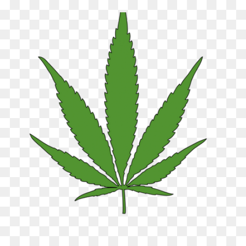 600  Free Cannabis & Marijuana 