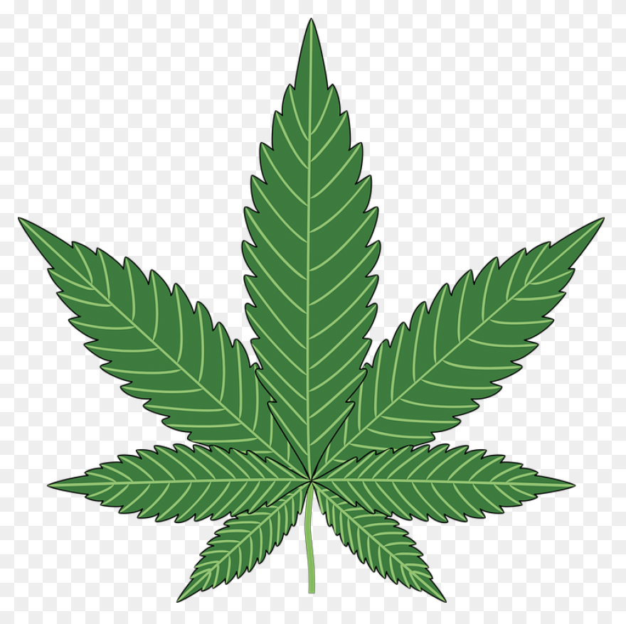600  Free Cannabis & Marijuana 