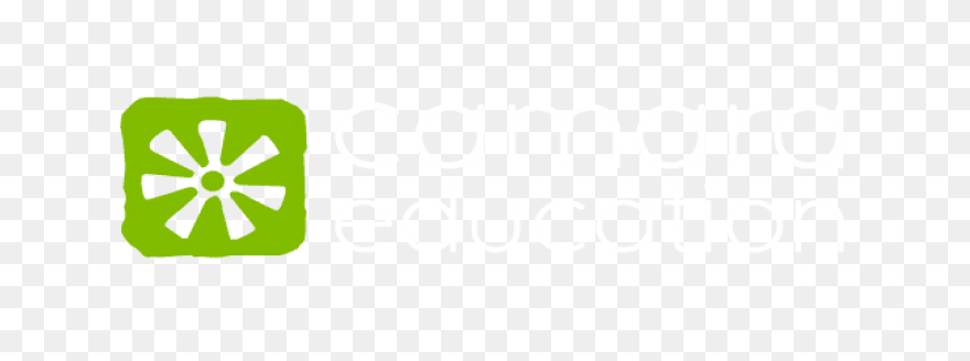 Camara - Icon - (501X501) Png Clipa