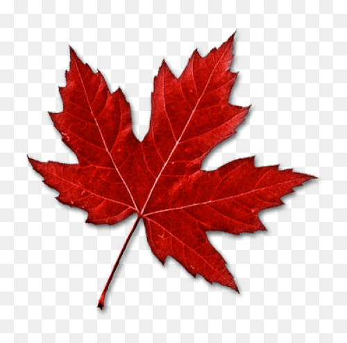 Maple Leaf Blue Clipart Maple Leaf 