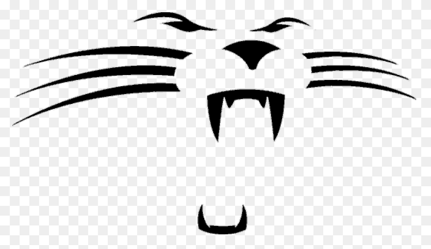 Carolina Panthers News, Rumors, Sco