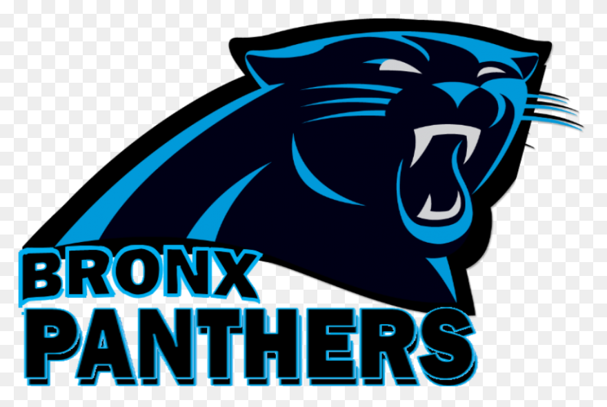 Carolina Panthers News, Rumors, Sco