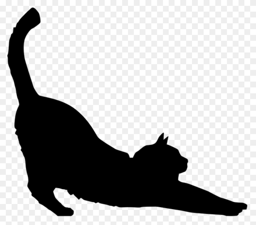 Cat Cat Black And White - Cat Silhouette