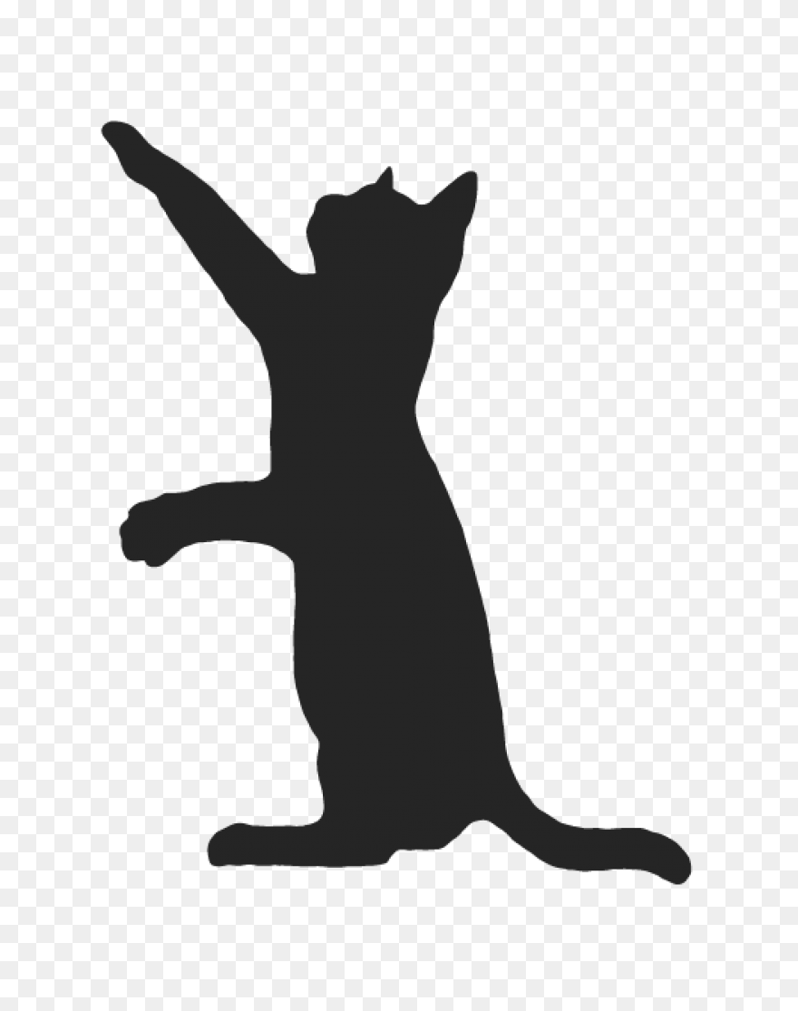 Cat Cat Black And White Silhouette 