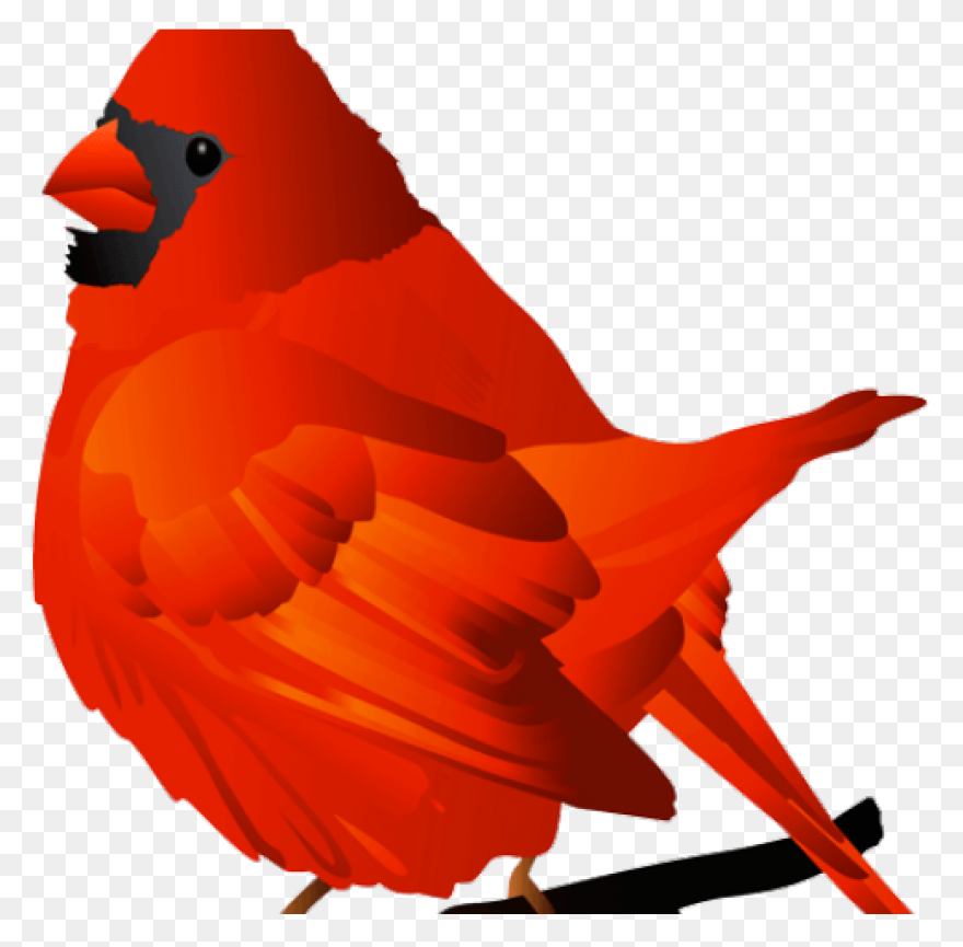 Cardinal Bird Vector Clip Art | Fre