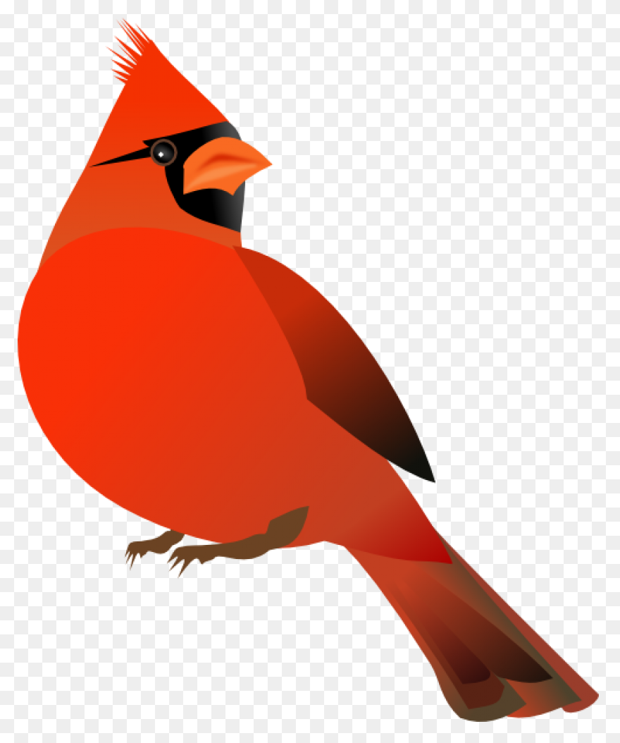 Cardinal Bird Vector Clip Art | Fre