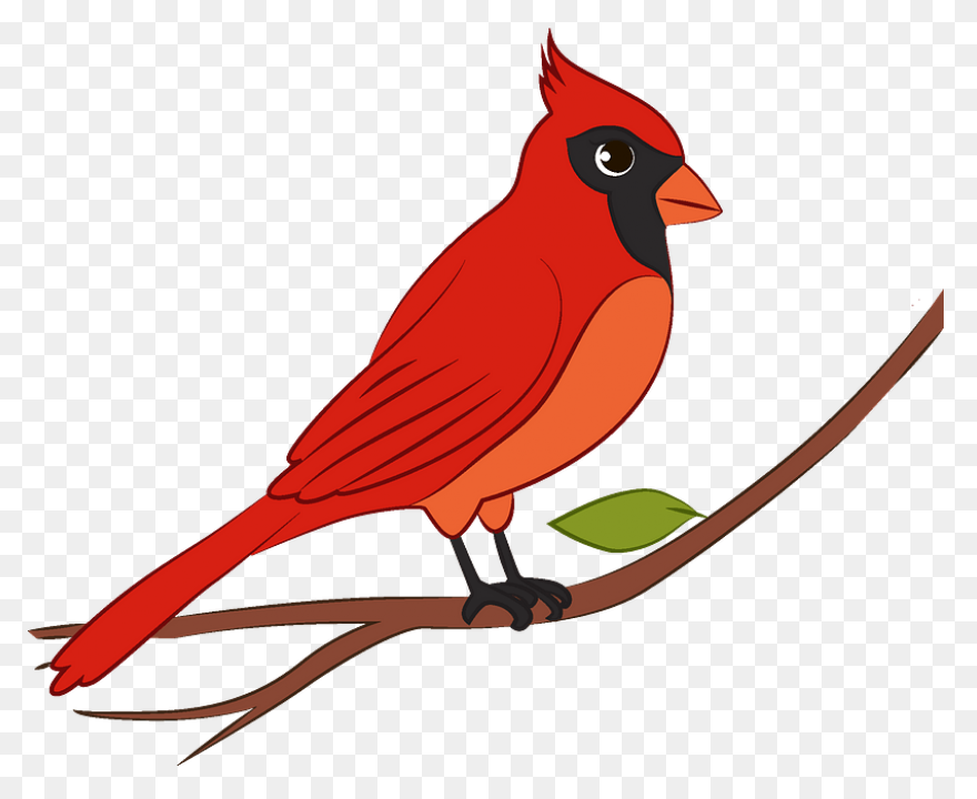 Cardinal Clipart. Free Download .png - Cardinal
