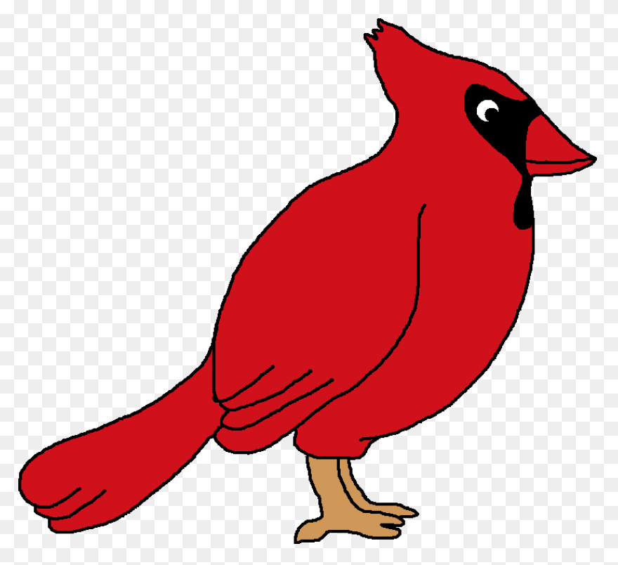 Cardinal Bird Vector Clip Art | Fre