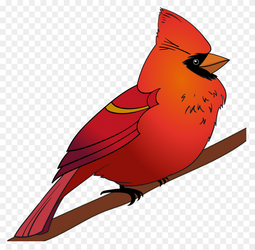 Cardinal Clipart. Free Download .png - Cardinal