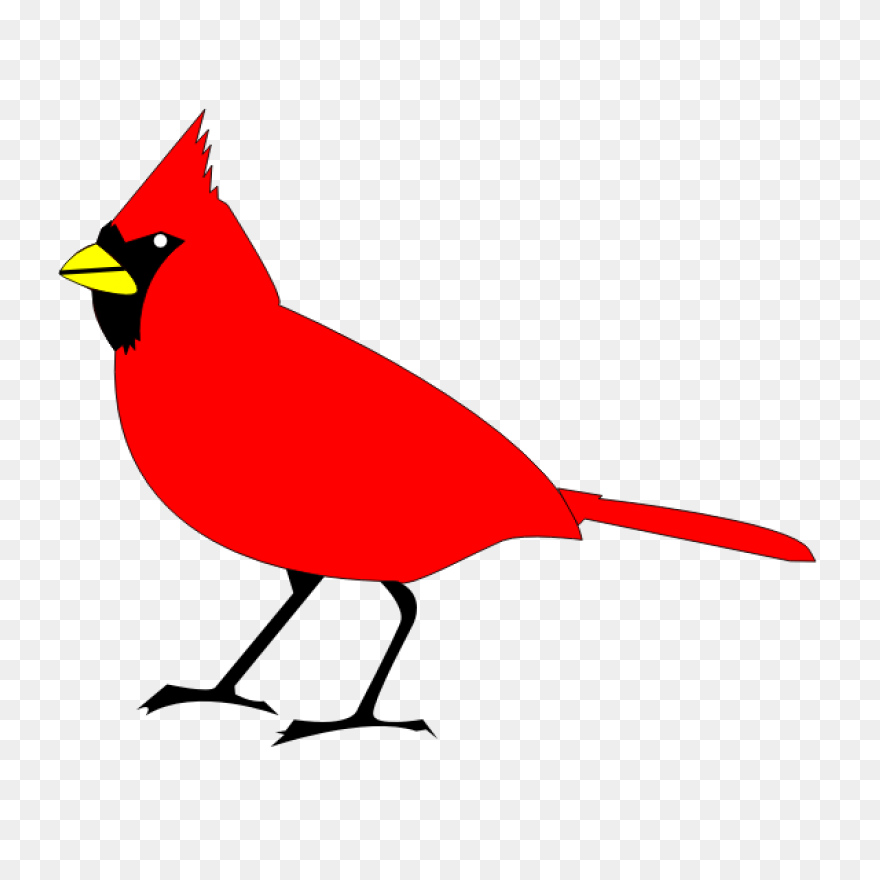 Cardinal Bird Vector Clipart | - Cardinal
