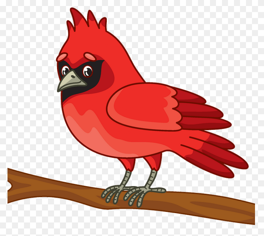 Cardinal Bird Vector Clip Art | Fre