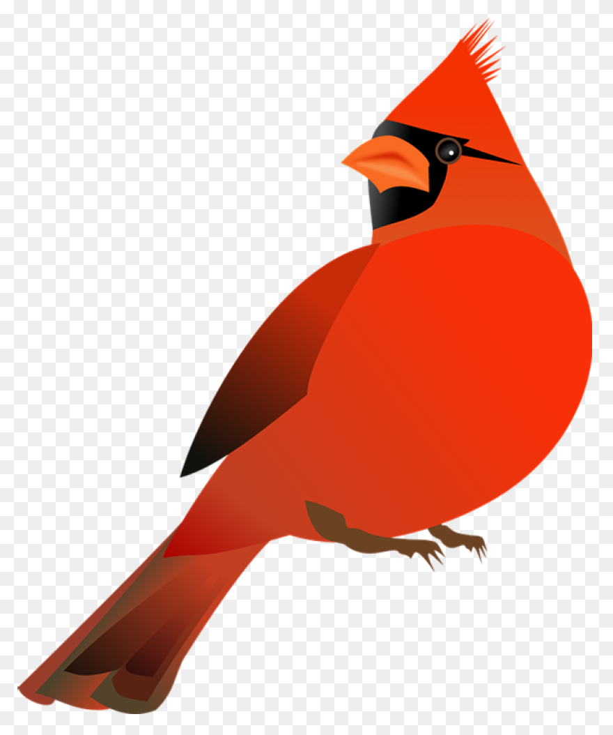 Cardinal Bird Vector Clip Art | Fre