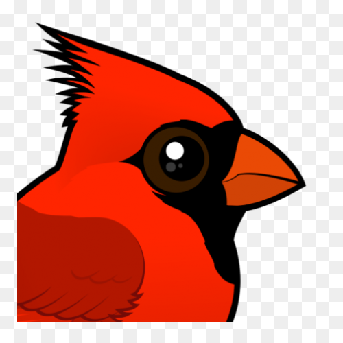 Cardinal Bird Vector Clip Art | Fre