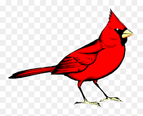 Cardinal Bird Vector Clip Art | Fre