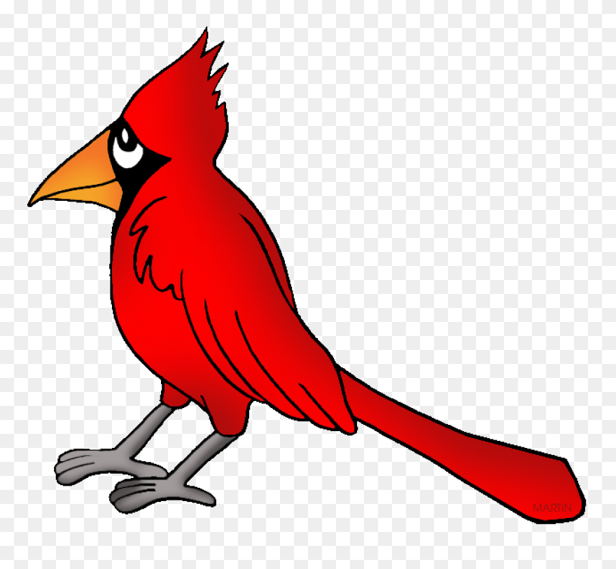 Cardinal Bird Vector Clip Art | Fre