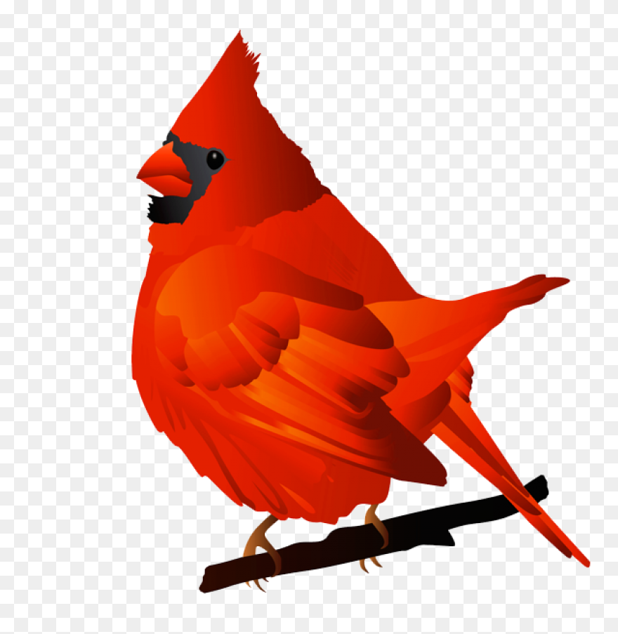 Cardinal Bird Vector Clip Art | Fre