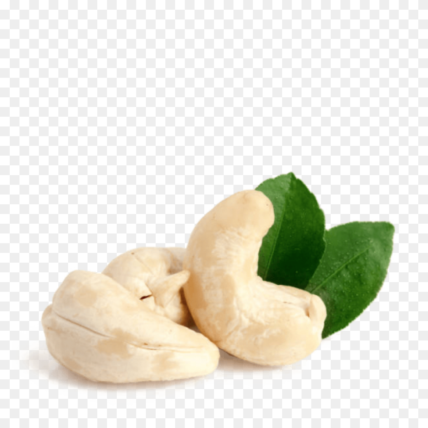 Jumbo Unsalted Cashew Nuts ›Real 
