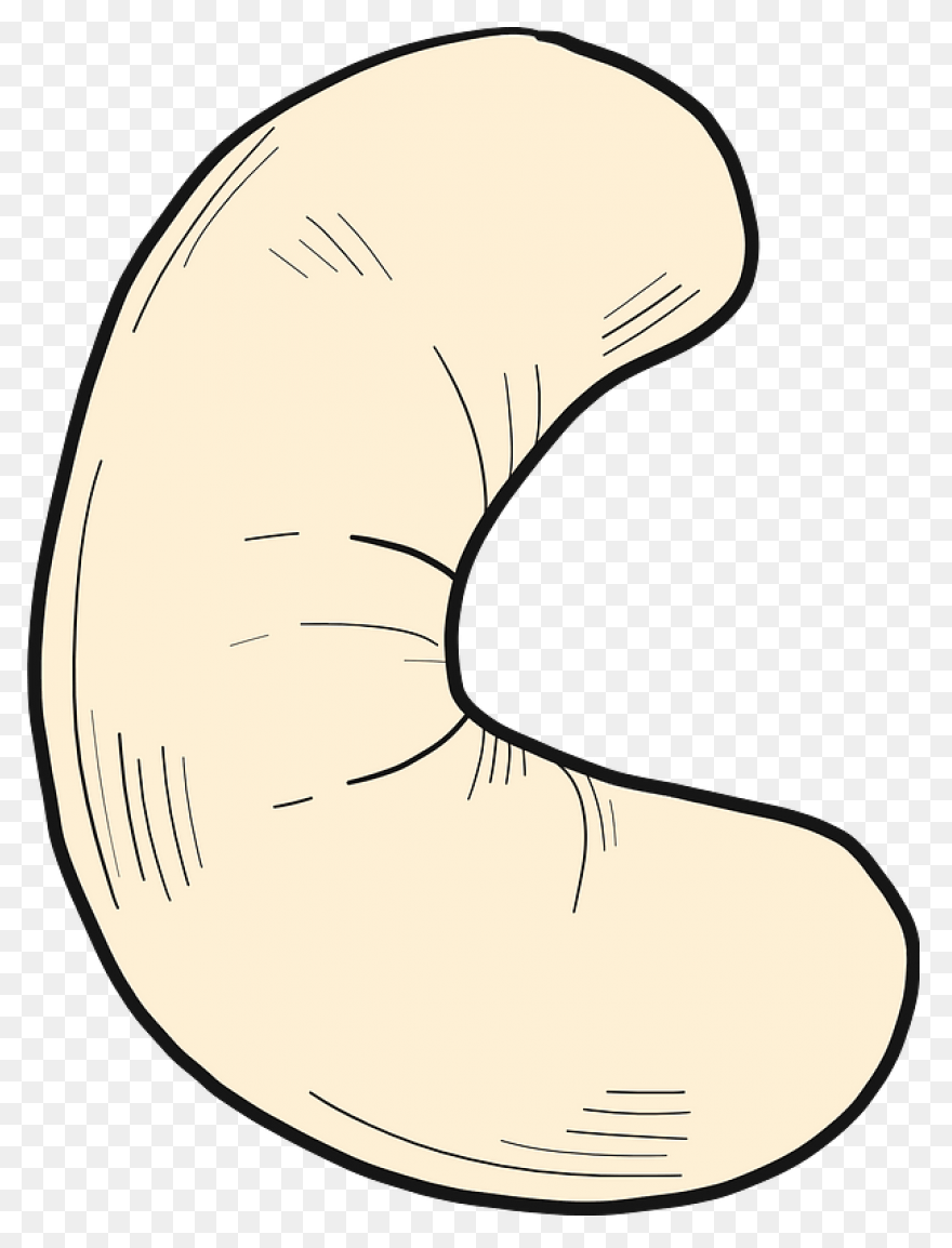 Jumbo Unsalted Cashew Nuts ›Real 