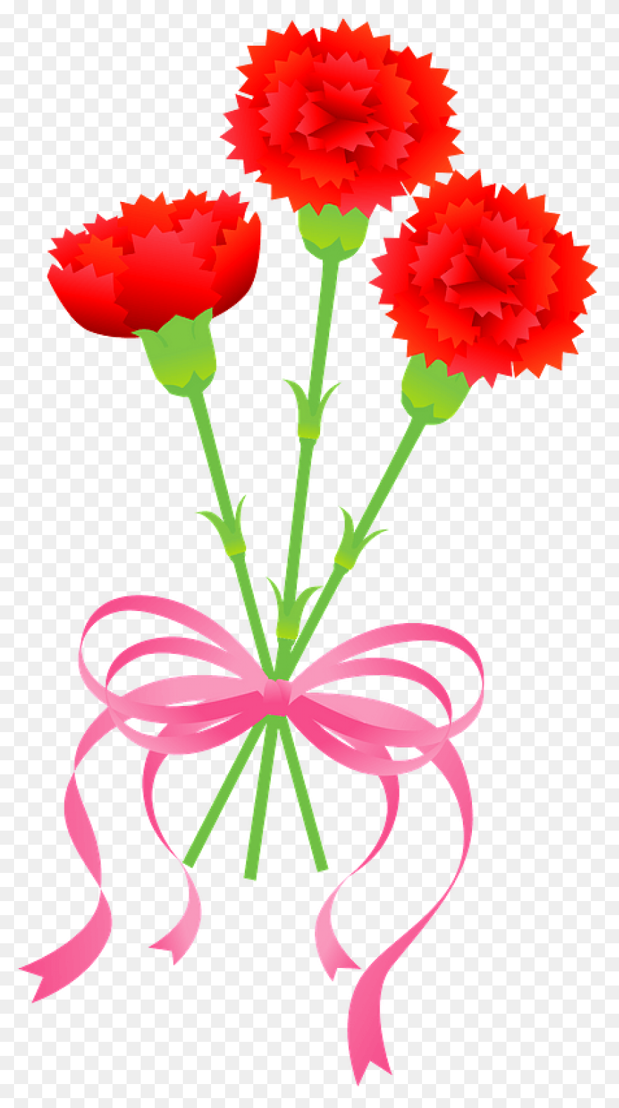 Carnation Flower Clipart. Free Down