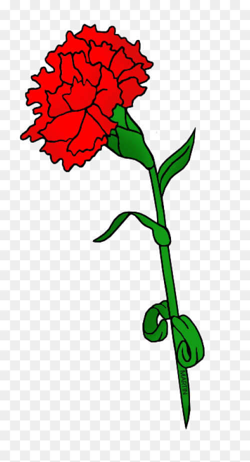 Carnation Flower Clipart. Free Down