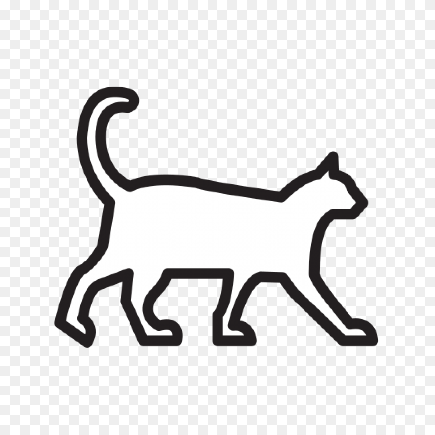 Cat, Chat, Feline, Gato, Kitten, Ki