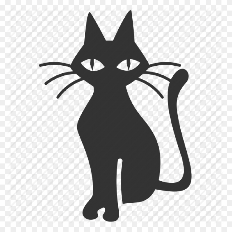 Cat, Chat, Feline, Gato, Kitten, Ki