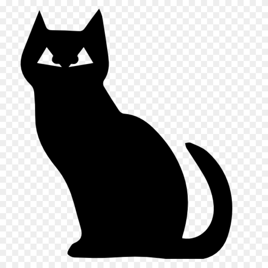 Cat, Chat, Feline, Gato, Kitten, Ki