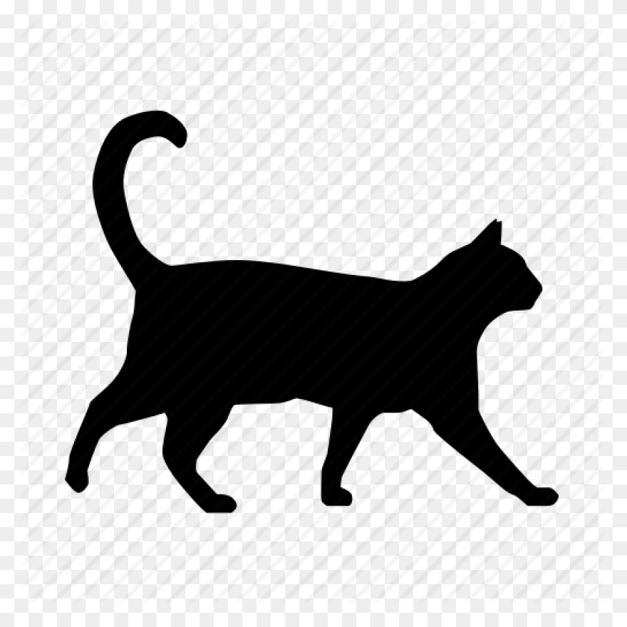 Cat, Chat, Feline, Gato, Kitten, Ki