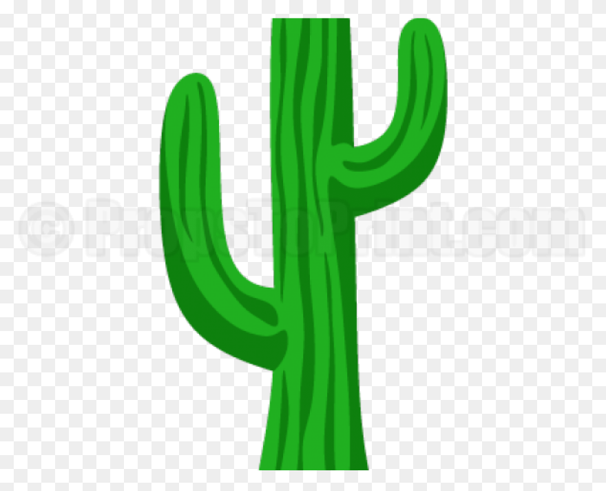 Vector Image Of Cactus | Free PNG-W