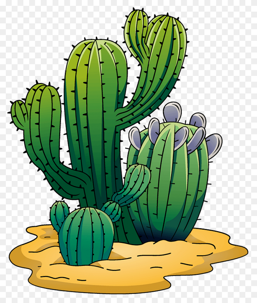 Vector Image Of Cactus | Free PNG-W