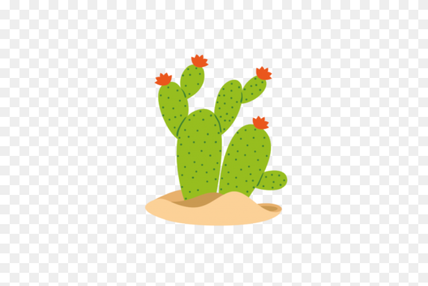 Vector Image Of Cactus | Free PNG-W