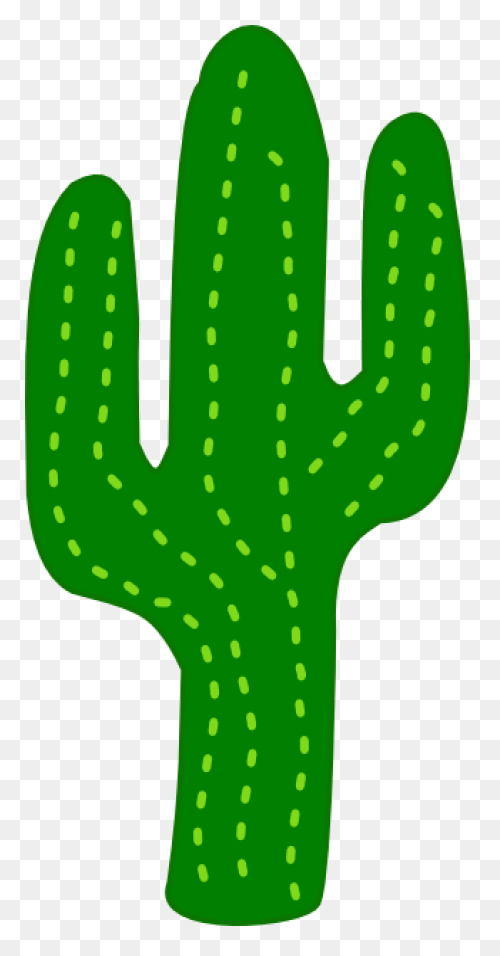 Vector Image Of Cactus | Free PNG-W