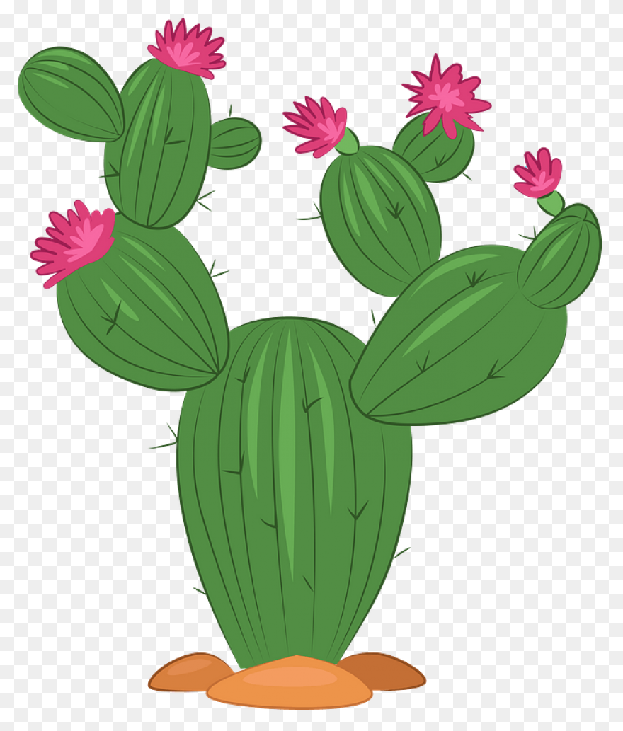 Cactus Clipart. Free Download .png - Cactus