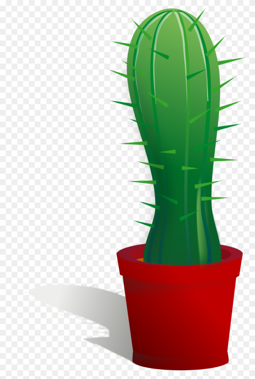 Vector Image Of Cactus | Free PNG-W