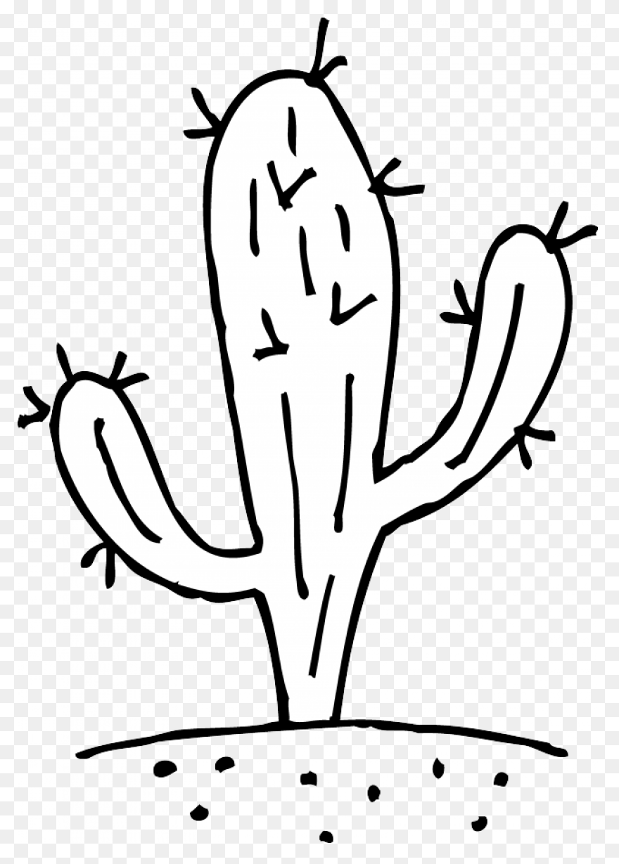 Vector Image Of Cactus | Free PNG-W