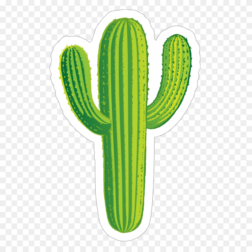 Vector Image Of Cactus | Free PNG-W