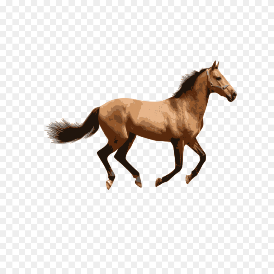 Caballo 2 | Free PNG - Caballo