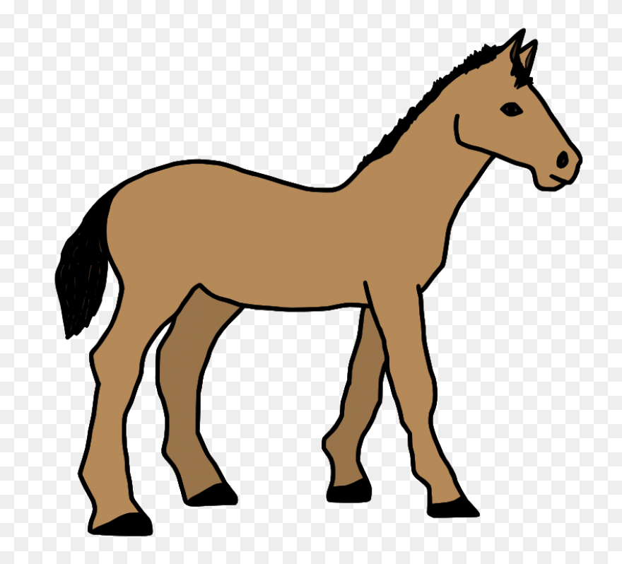 Caballo 2 | Free PNG-WebP