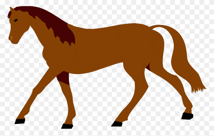 Caballo 2 | Free PNG-WebP