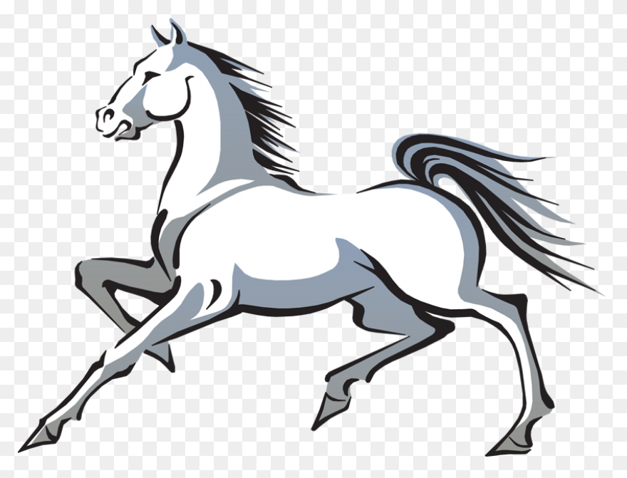 Caballo 2 | Free PNG-WebP