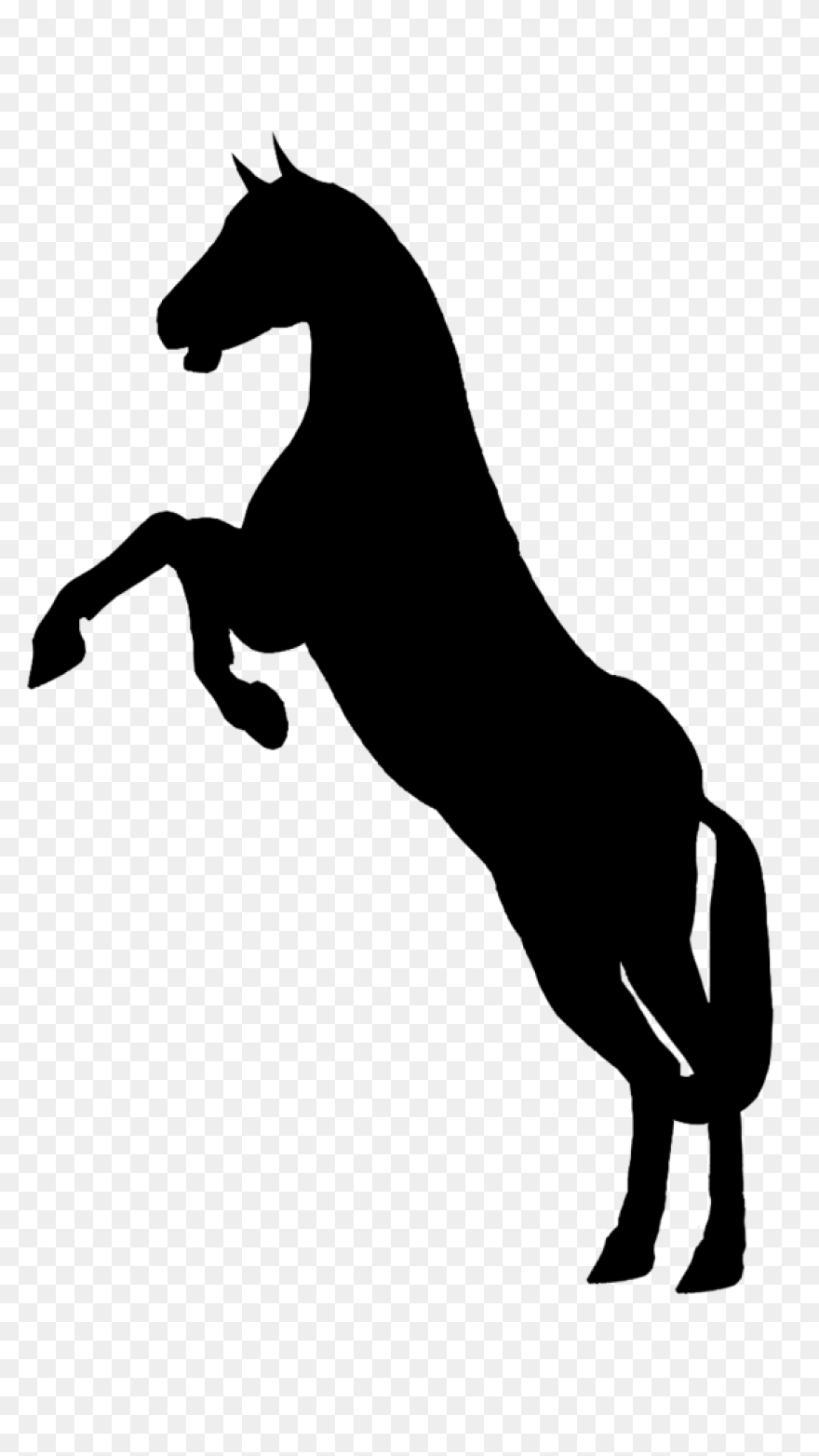 Caballo 2 | Free PNG-WebP