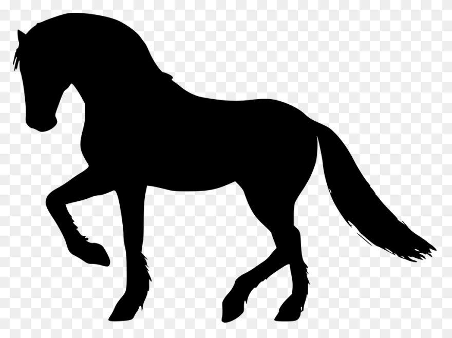 Caballo 2 | Free PNG-WebP