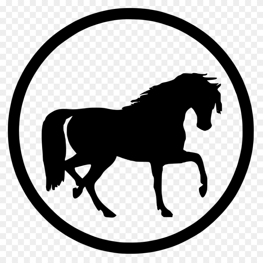 Caballo 2 | Free PNG-WebP