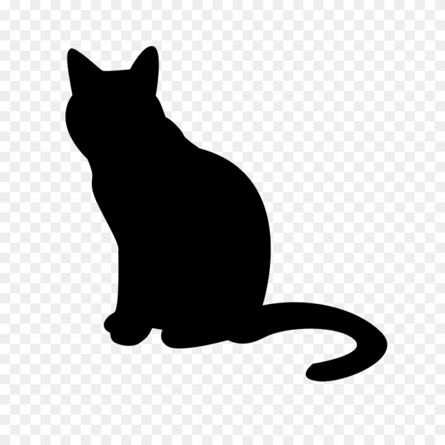 Black Cat Kitten Polydactyl Cat Cli